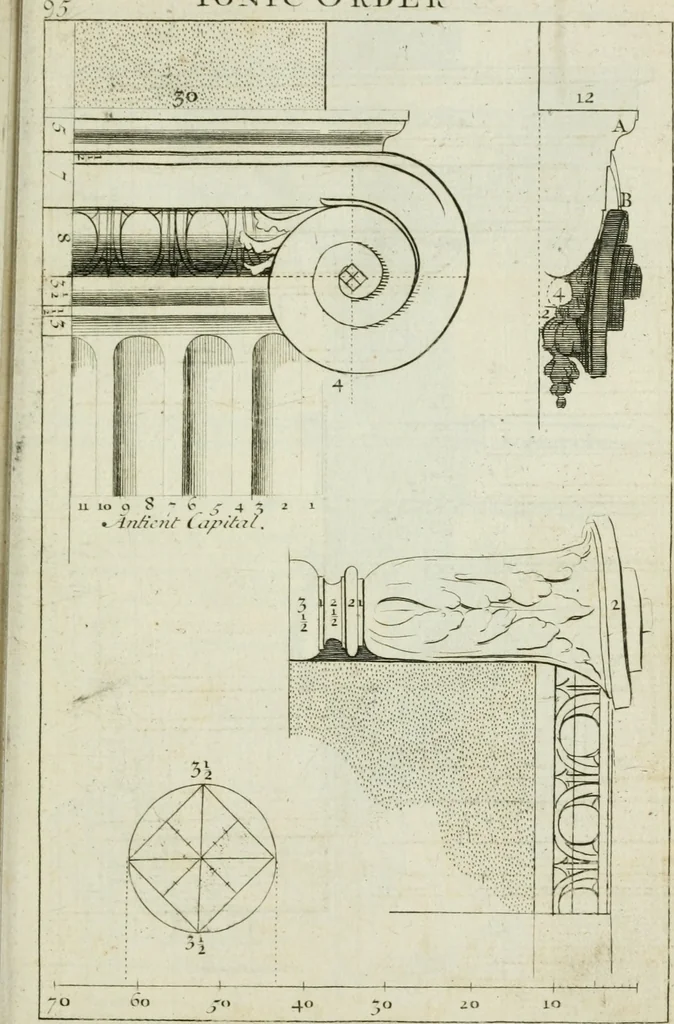 An illustration from A treatise of architecture, with remarks and observations : necessary for young people, who would apply themselves to that noble art, 1732, leaf 264