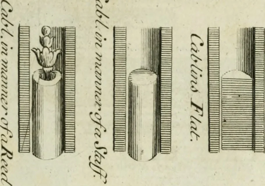 An illustration from A treatise of architecture, with remarks and observations : necessary for young people, who would apply themselves to that noble art, 1732, leaf 286