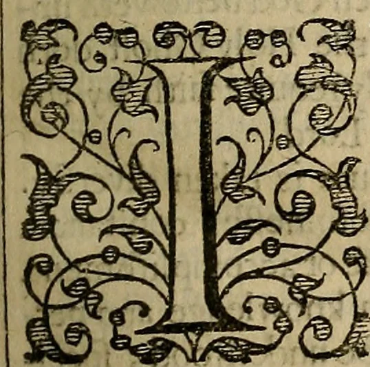An illustration from A treatise of faith divided into two parts : the first shewing the natvre, the second, the life of faith, both tending to direct the weake Christian how he may possesse the whole Word of God as his owne, ouercome temptations, better his obedience, and liue comfortably in all estates, 1637, leaf 40