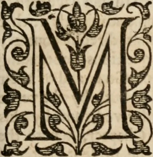 An illustration from A treatise of faith, divided into two parts : The first shewing the nature, The second, the life of faith: Both tending to direct the weake Christian how he may possesse the whole word of God as his owne, ouercome temptations, better his obedience, and live comfortably in all estates, 1637, leaf 232