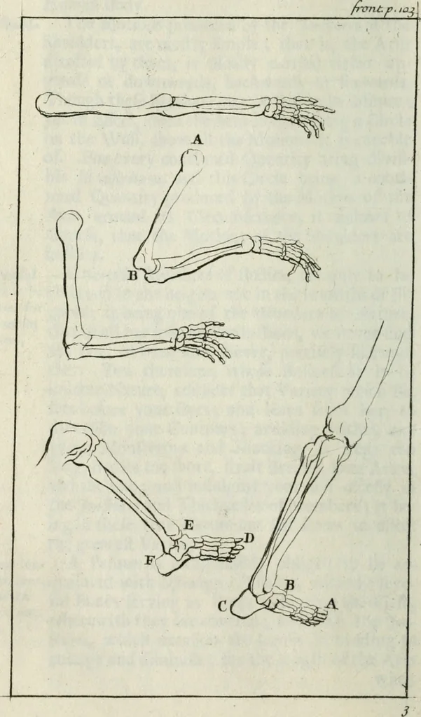 An illustration from A treatise of painting, 1721, leaf 131