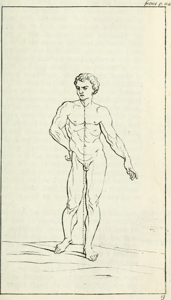 An illustration from A treatise of painting, 1721, leaf 162