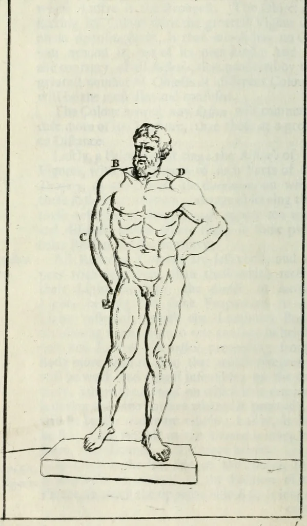 An illustration from A treatise of painting, 1721, leaf 89