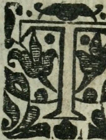 An illustration from A treatise, of weights, mets and measvres of Scotland. With their qvantities, and trve foundation, and sundrie profitable observations, arising vpon everie one of them. Together with the art of metting, measuring & compting all sort of land with diverse tables, 1624, leaf 36