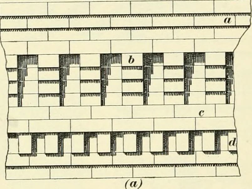 An illustration from A treatise on architecture and building construction, 1899, leaf 155