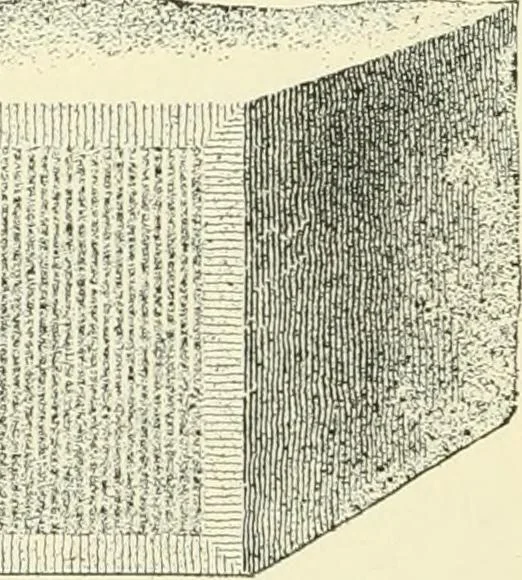 An illustration from A treatise on architecture and building construction, 1899, leaf 189