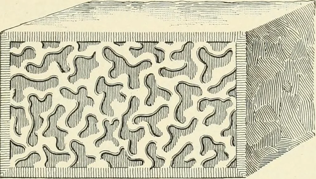 An illustration from A treatise on architecture and building construction, 1899, leaf 192