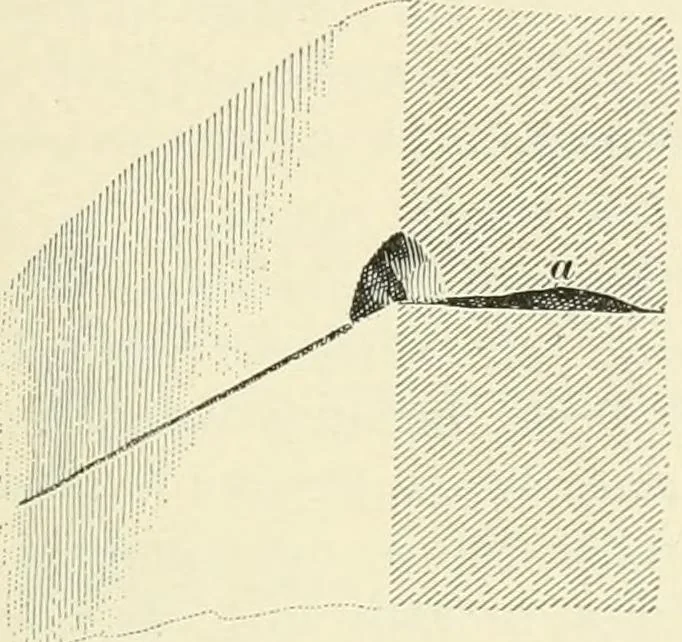 An illustration from A treatise on architecture and building construction, 1899, leaf 194