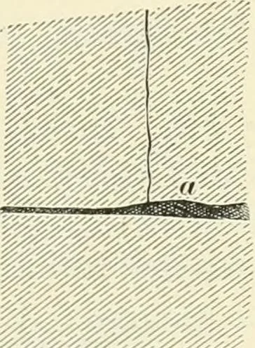 An illustration from A treatise on architecture and building construction, 1899, leaf 194