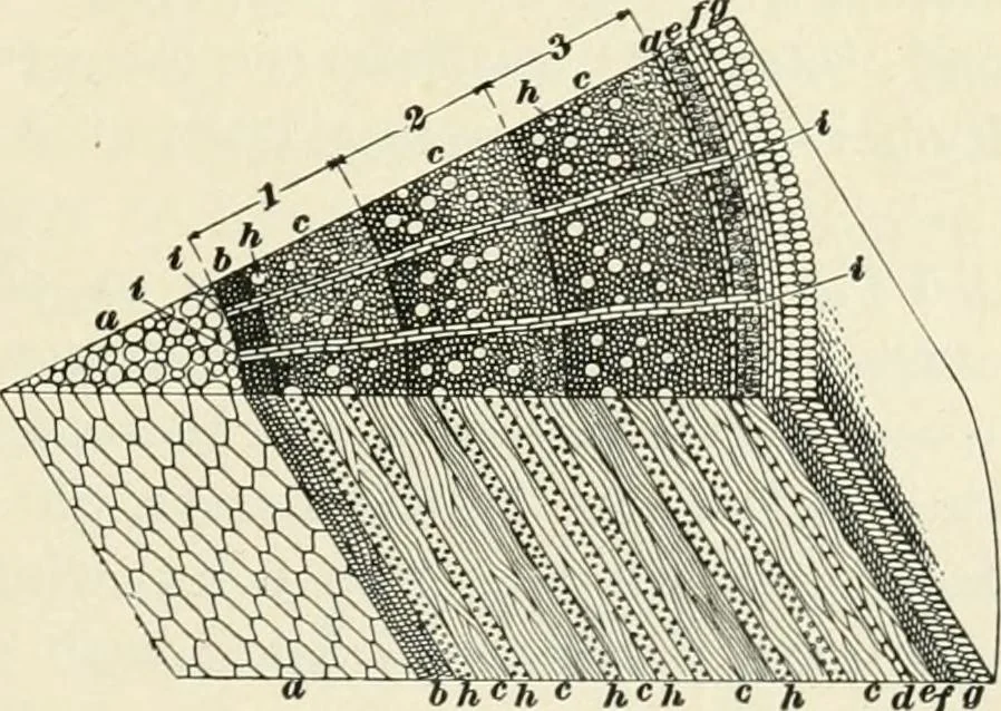 An illustration from A treatise on architecture and building construction, 1899, leaf 334