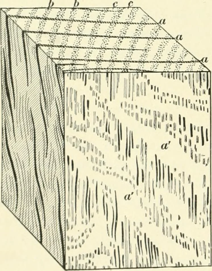An illustration from A treatise on architecture and building construction, 1899, leaf 337