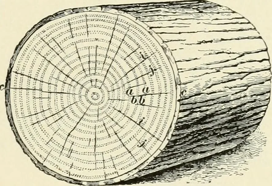 An illustration from A treatise on architecture and building construction, 1899, leaf 338