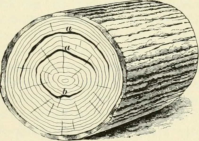 An illustration from A treatise on architecture and building construction, 1899, leaf 340
