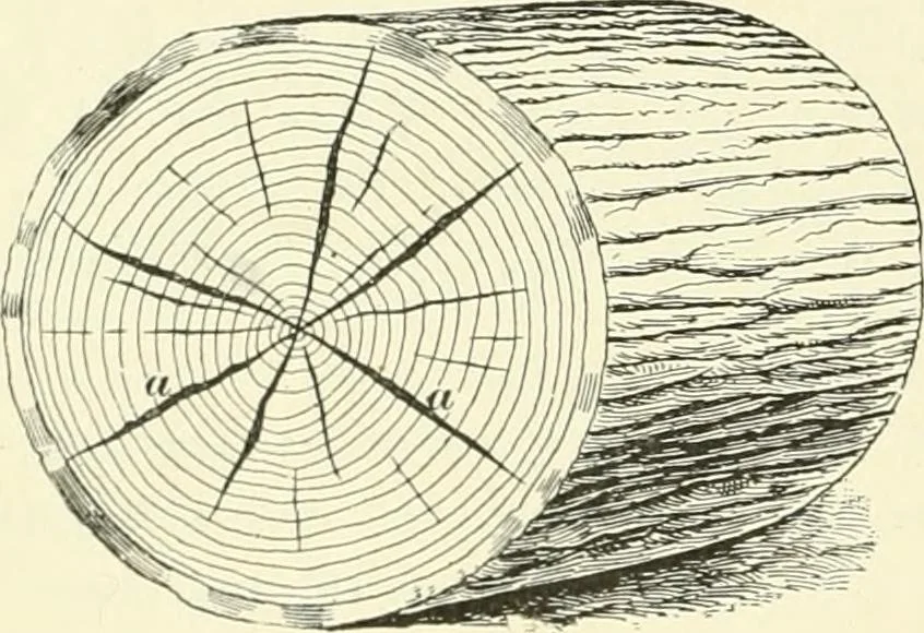 An illustration from A treatise on architecture and building construction, 1899, leaf 345