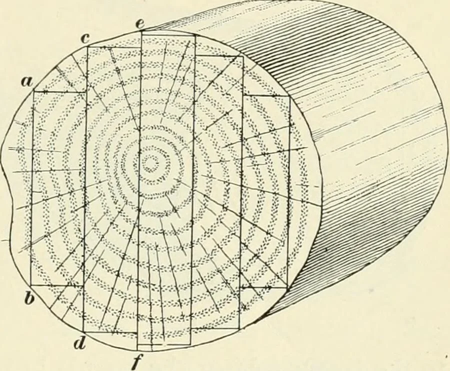 An illustration from A treatise on architecture and building construction, 1899, leaf 346