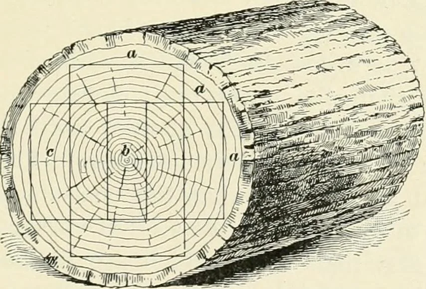An illustration from A treatise on architecture and building construction, 1899, leaf 346