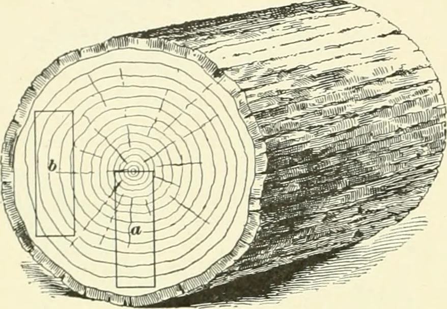 An illustration from A treatise on architecture and building construction, 1899, leaf 347