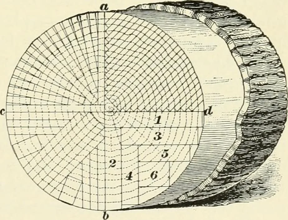 An illustration from A treatise on architecture and building construction, 1899, leaf 348