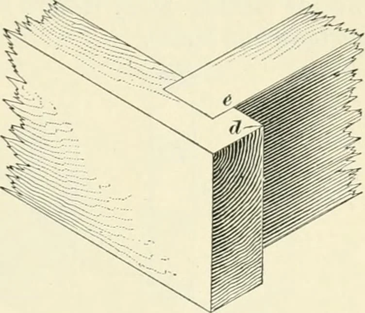 An illustration from A treatise on architecture and building construction, 1899, leaf 488