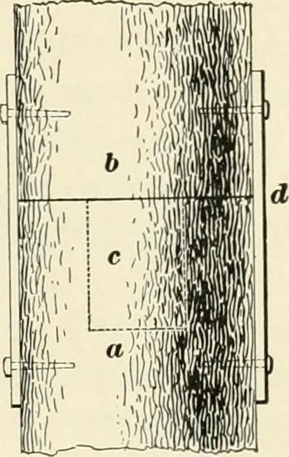 An illustration from A treatise on architecture and building construction, 1899, leaf 56