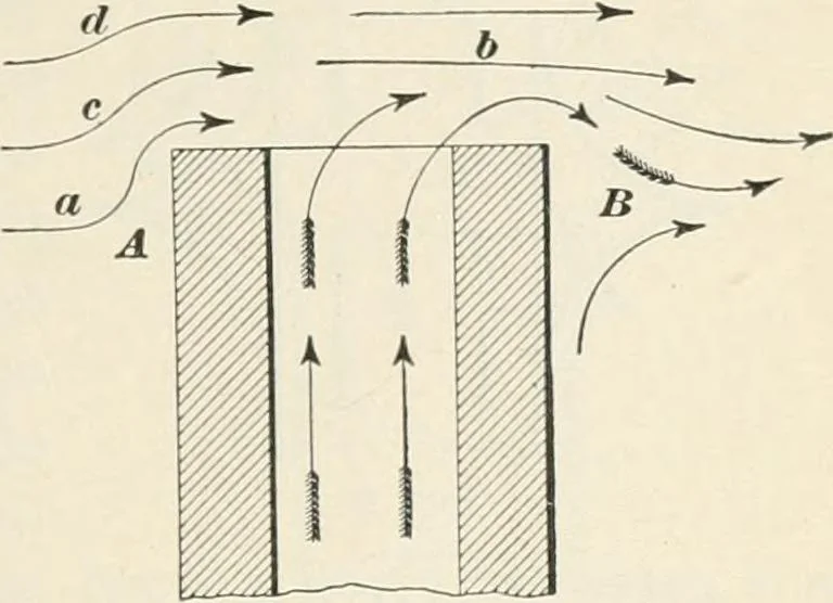 An illustration from A treatise on architecture and building construction, 1899, leaf 232