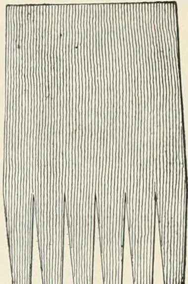 An illustration from A treatise on architecture and building construction, 1899, leaf 440