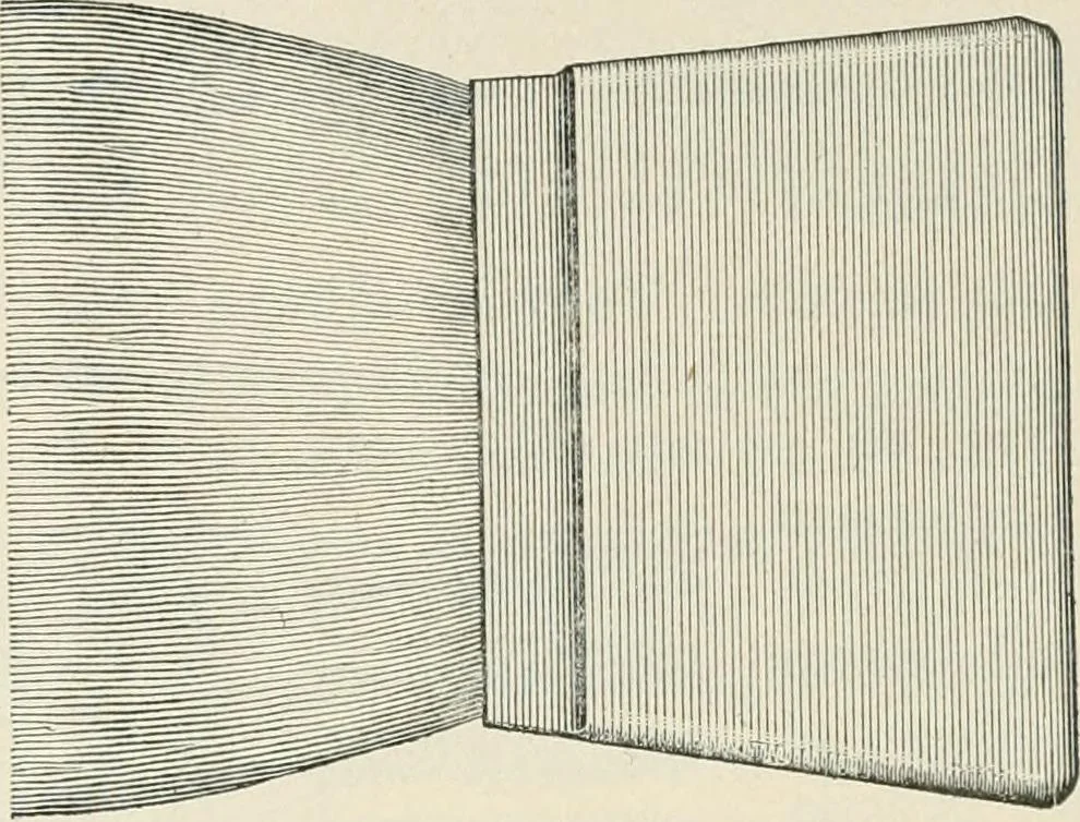 An illustration from A treatise on architecture and building construction, 1899, leaf 443