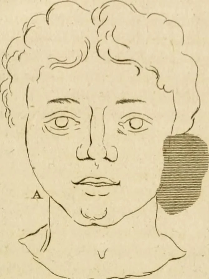 An illustration from A treatise on the art of painting, in all its branches; accompanied by seventy engraved plates, and exemplified by remarks on the paintings of the best masters .., 1817, leaf 290