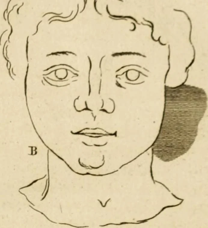 An illustration from A treatise on the art of painting, in all its branches; accompanied by seventy engraved plates, and exemplified by remarks on the paintings of the best masters .., 1817, leaf 290
