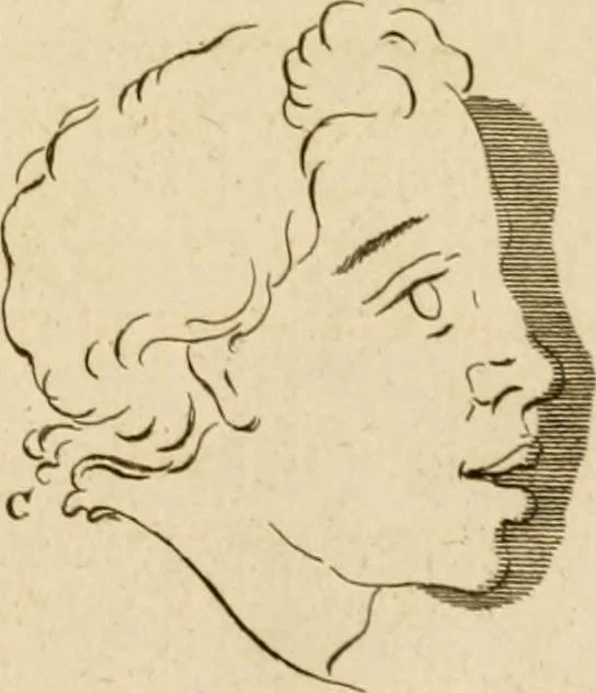 An illustration from A treatise on the art of painting, in all its branches; accompanied by seventy engraved plates, and exemplified by remarks on the paintings of the best masters .., 1817, leaf 290