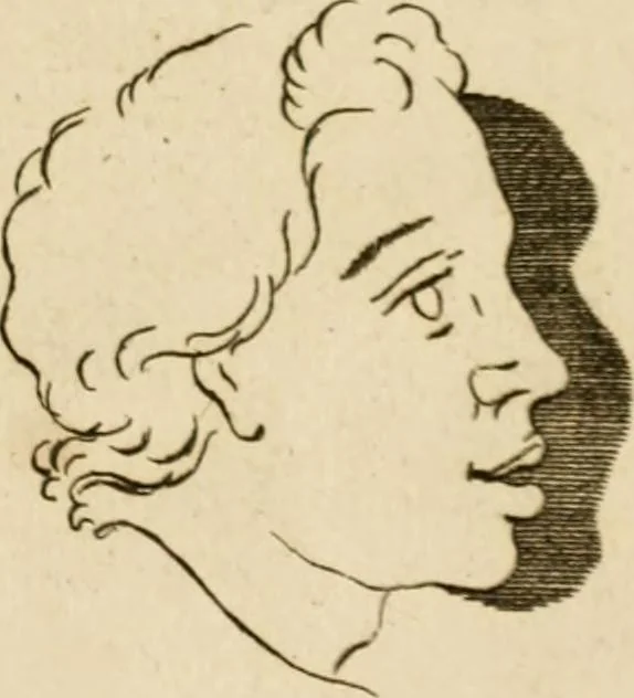 An illustration from A treatise on the art of painting, in all its branches; accompanied by seventy engraved plates, and exemplified by remarks on the paintings of the best masters .., 1817, leaf 290