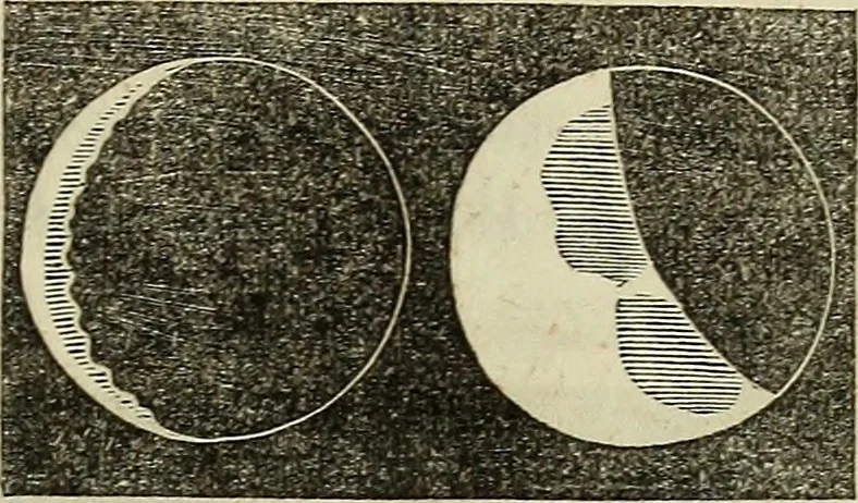 An illustration from A treatise on astronomy, descriptive, physical and practical. Designed for schools, colleges, and private students, 1849, leaf 148