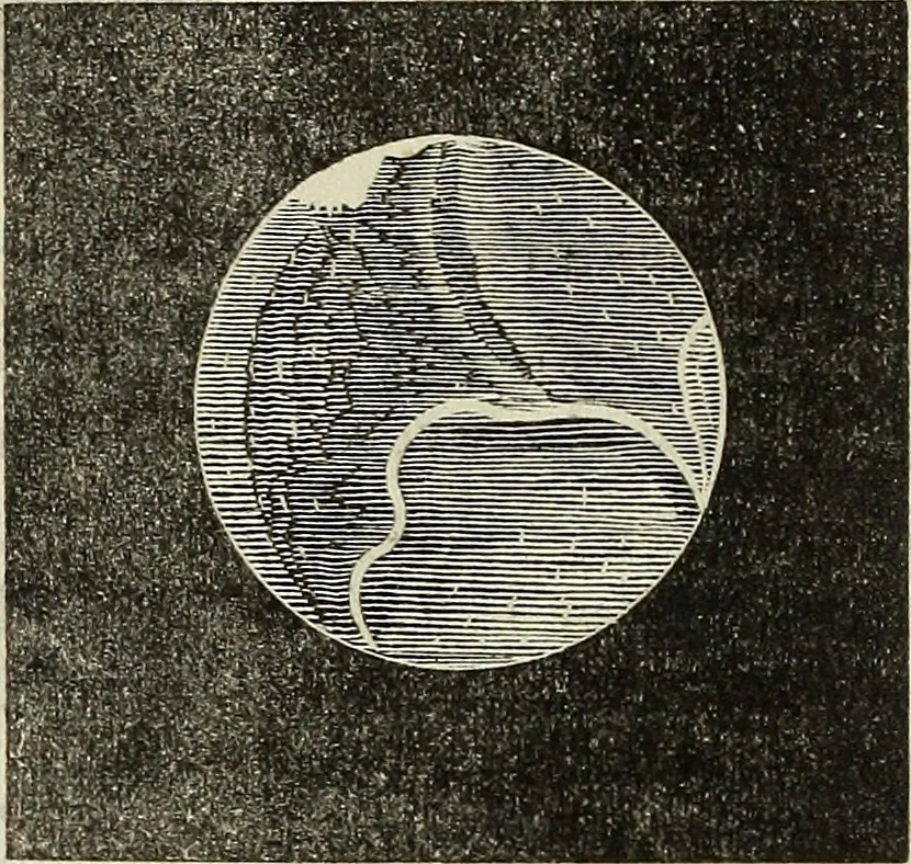An illustration from A treatise on astronomy, descriptive, physical and practical. Designed for schools, colleges, and private students, 1849, leaf 149
