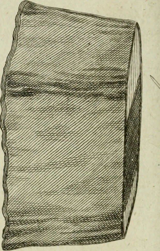 An illustration from A treatise on carriages : comprehending coaches, chariots, phaetons, curricles, whiskies, &c. : together with their proper harness, in which the fair prices of every article are accurately stated, 1796, leaf 223