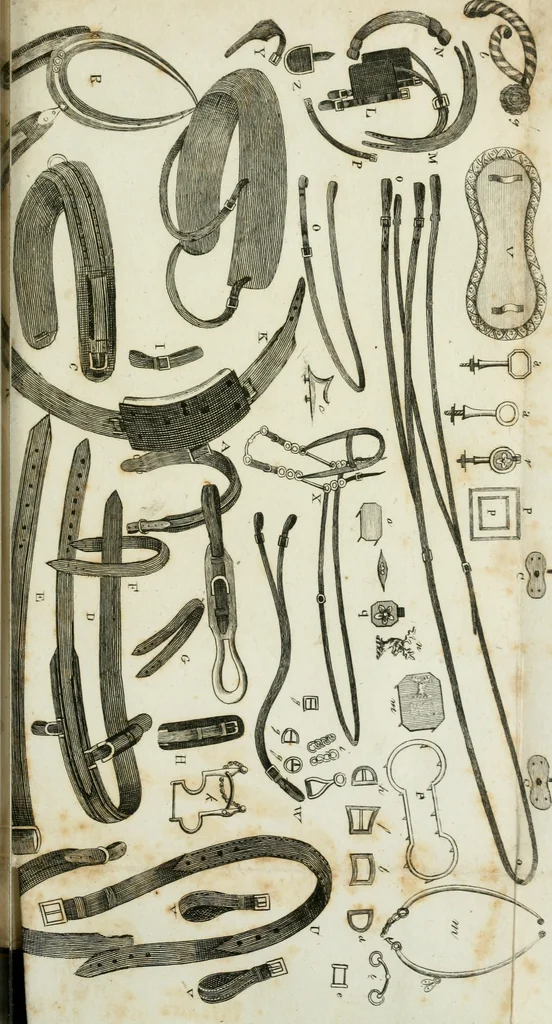An illustration from A treatise on carriages : comprehending coaches, chariots, phaetons, curricles, whiskies, &c. : together with their proper harness, in which the fair prices of every article are accurately stated, 1796, leaf 224