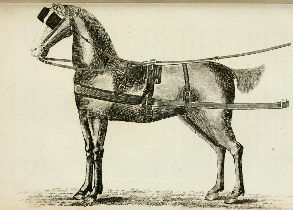 An illustration from A treatise on carriages : comprehending coaches, chariots, phaetons, curricles, whiskies, &c. : together with their proper harness, in which the fair prices of every article are accurately stated, 1796, leaf 249