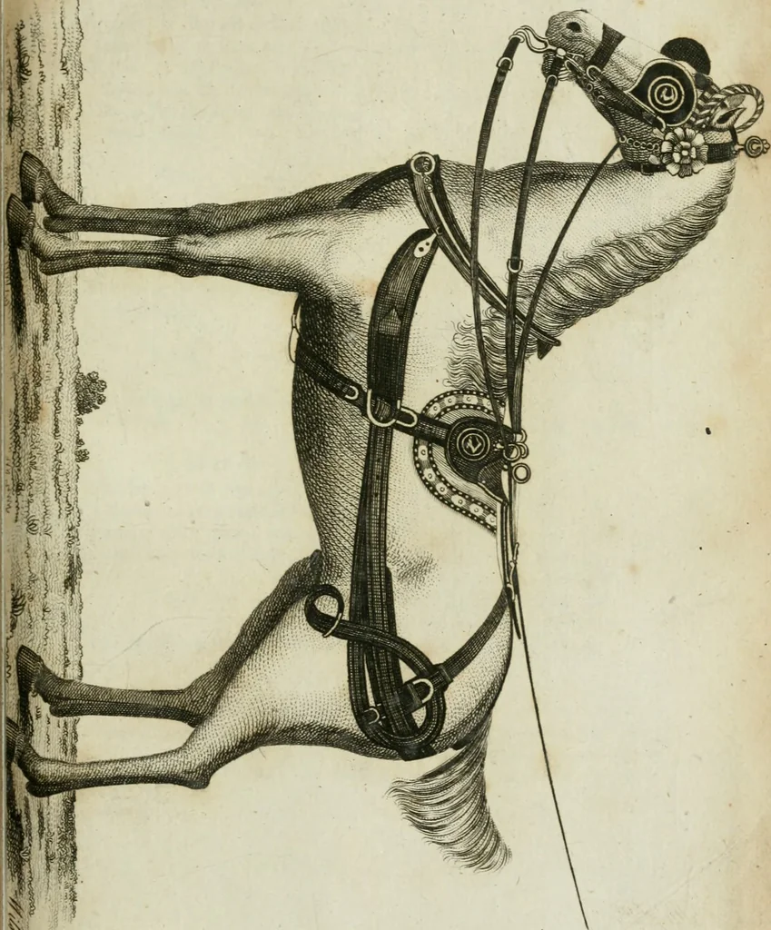 An illustration from A treatise on carriages : comprehending coaches, chariots, phaetons, curricles, whiskies, &c. : together with their proper harness, in which the fair prices of every article are accurately stated, 1796, leaf 260