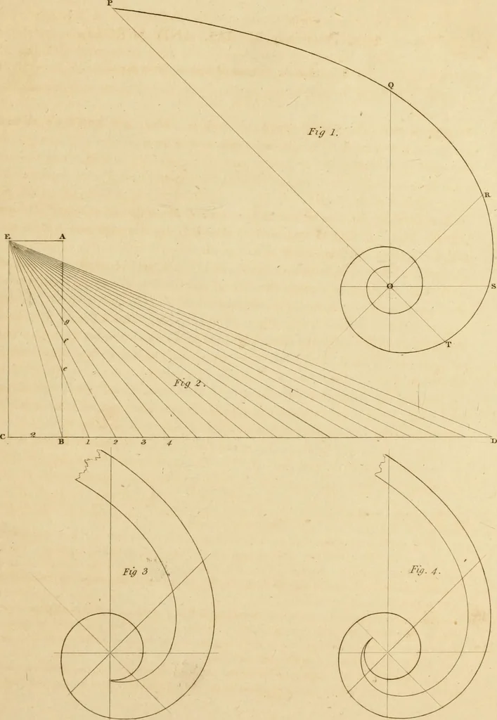 An illustration from A treatise on the construction of staircases and handrails ... Preceded by some necessary problems in practical geometry; with the sections and coverings of prismatic solids, 1820, leaf 112