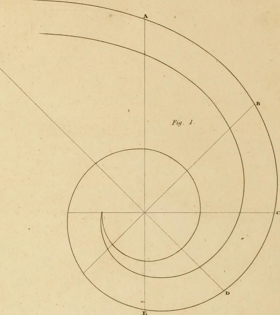 An illustration from A treatise on the construction of staircases and handrails ... Preceded by some necessary problems in practical geometry; with the sections and coverings of prismatic solids, 1820, leaf 115
