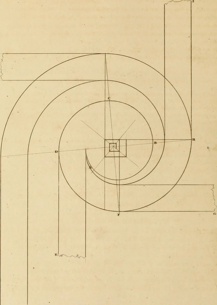 An illustration from A treatise on the construction of staircases and handrails ... Preceded by some necessary problems in practical geometry; with the sections and coverings of prismatic solids, 1820, leaf 121