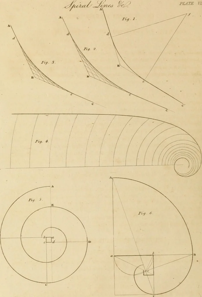 An illustration from A treatise on the construction of staircases and handrails ... Preceded by some necessary problems in practical geometry; with the sections and coverings of prismatic solids, 1820, leaf 45