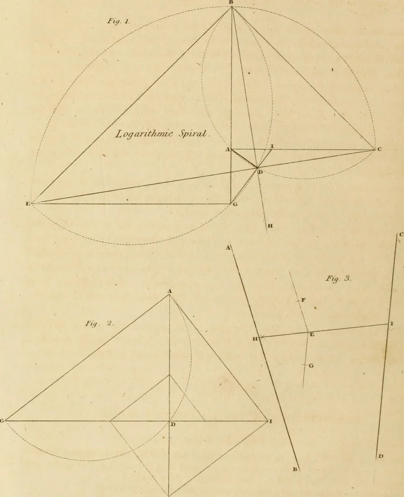 An illustration from A treatise on the construction of staircases and handrails ... Preceded by some necessary problems in practical geometry; with the sections and coverings of prismatic solids, 1820, leaf 49
