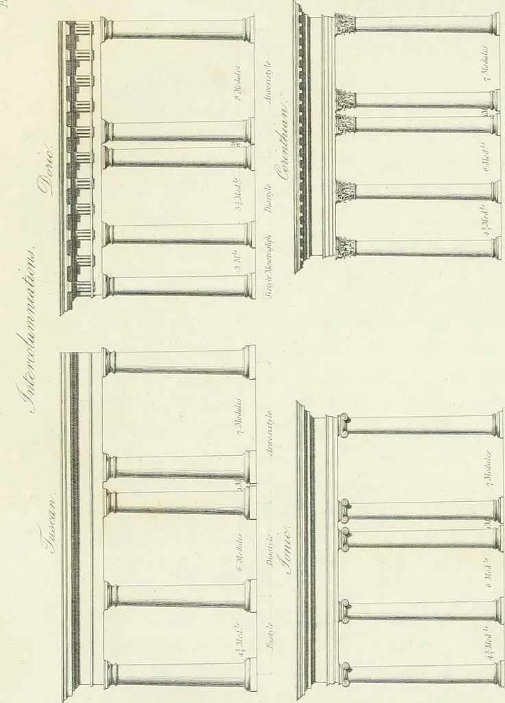 An illustration from A treatise on the decorative part of civil architecture, 1825, leaf 24