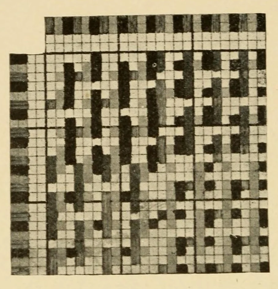 An illustration from Treatise on the designing and construction of woven fabrics, 1906, leaf 100