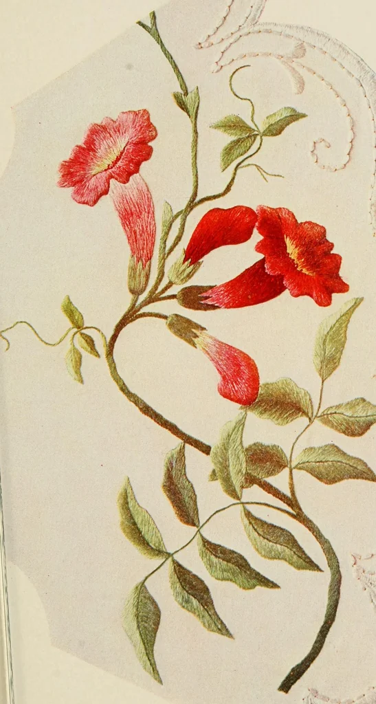 An illustration from A treatise on embroidery; with twenty color illustrations from original models, 1907, leaf 57