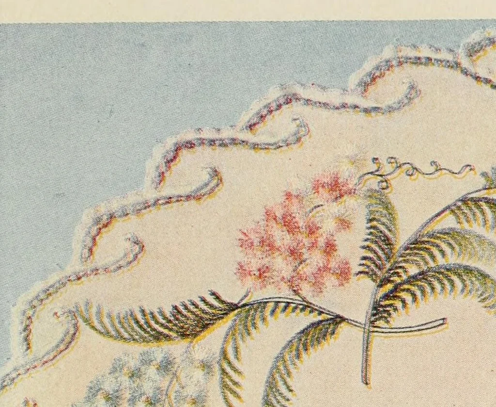 An illustration from A treatise on embroidery; with twenty color illustrations from original models, 1907, leaf 75
