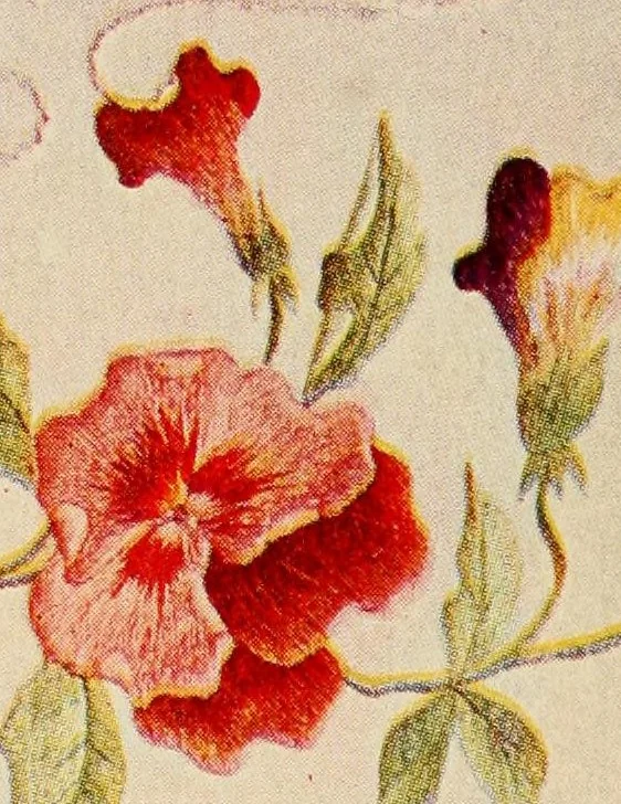 An illustration from A treatise on embroidery; with twenty color illustrations from original models, 1907, leaf 86
