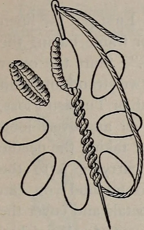 An illustration from A treatise on embroidery, crochet and knitting .., 1899, leaf 10