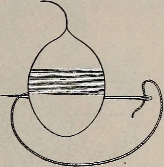 An illustration from A treatise on embroidery, crochet and knitting .., 1899, leaf 10