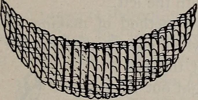An illustration from A treatise on embroidery, crochet and knitting .., 1899, leaf 10